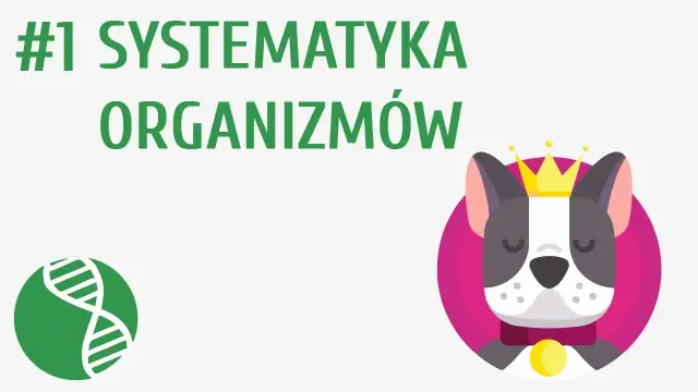 Co to jest systematyka w biologii i dlaczego jest tak ważna?