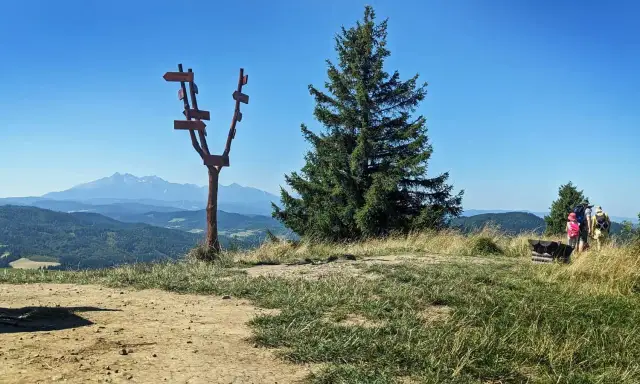 Willa Wysoki Wierch Szczawnica: Czy to Twój wymarzony urlop w Pieninach?