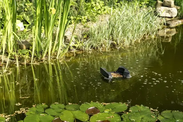 Was kostet ein Teich? Die versteckten Kosten im Überblick
