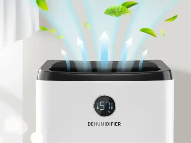 Osuszacz powietrza jaki wybrać - jak uniknąć błędów przy zakupie