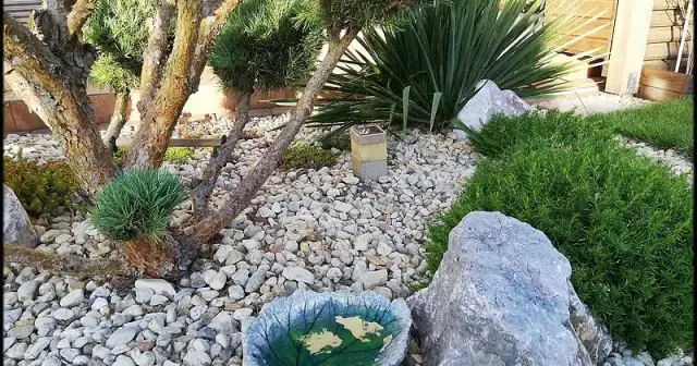 Jak zrobić fajne poidełko dla ptaków, które przyciągnie ich do ogrodu