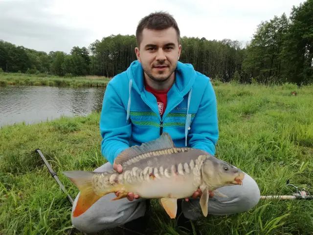 Łowisko Wielgie - poznaj najlepsze miejsce na wędkowanie w Mazowszu