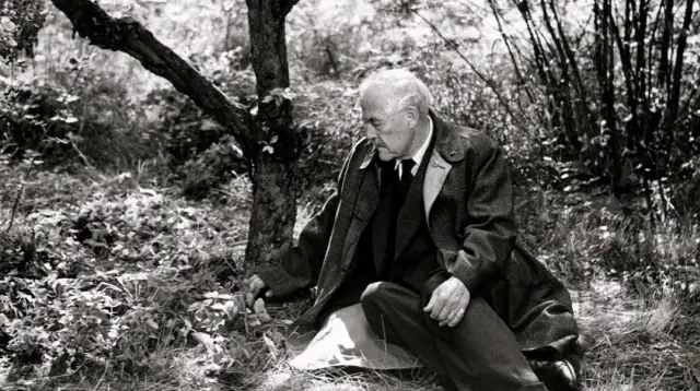 Tam gdzie rosną poziomki: Czy starość musi być samotna?