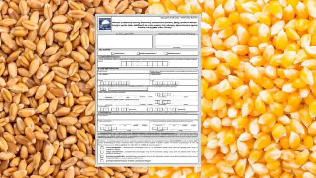 Jak złożyć wniosek o dopłaty do nawozów przez epuap bez błędów