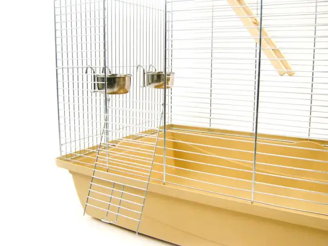 Jaka klatka dla papugi falistej zapewni jej komfort i bezpieczeństwo