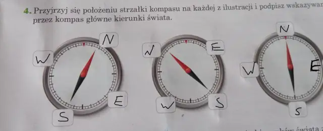 Jaki kierunek wskazuje kompas? Twoja pewność w terenie!