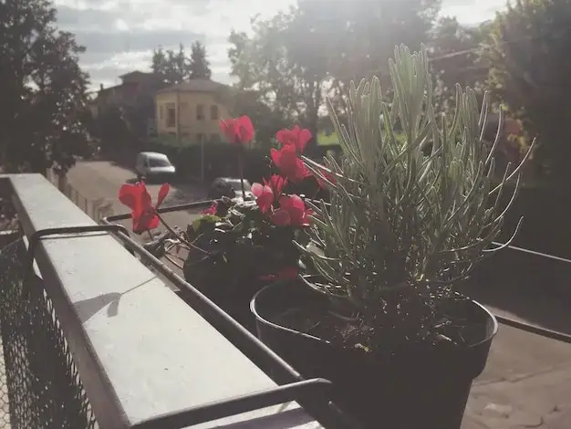 Mały balkon w bloku: Jak stworzyć oazę? Praktyczny przewodnik