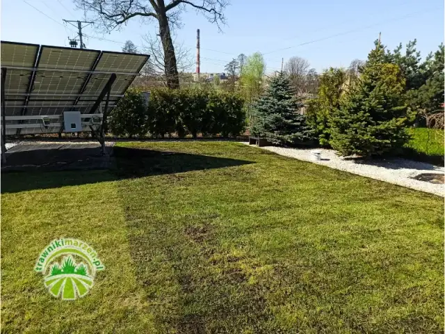 Czy skoszona trawa nawozi trawnik? Poznaj tajniki mulczowania