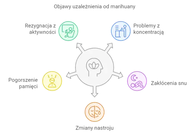 Uzależnienie od marihuany: Objawy i gdzie szukać pomocy?