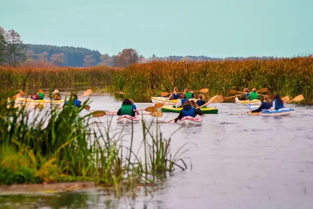 Spływy kajakowe Biebrzą: zaplanuj dziką przygodę krok po kroku