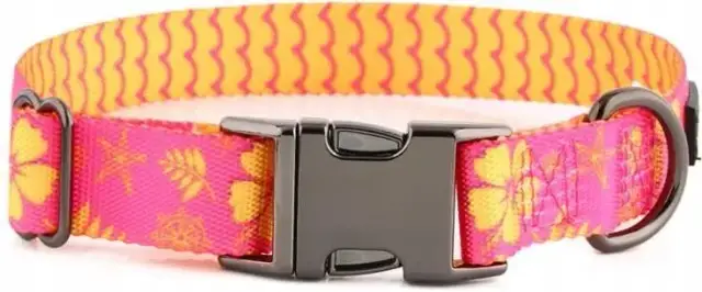 Jak obroża dla maltańczyka może zapewnić komfort i bezpieczeństwo?