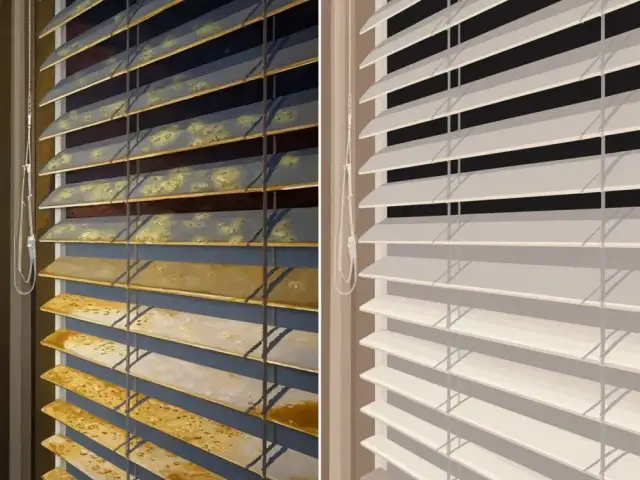 Jak usunąć pleśń z rolety okiennej - skuteczne metody i porady