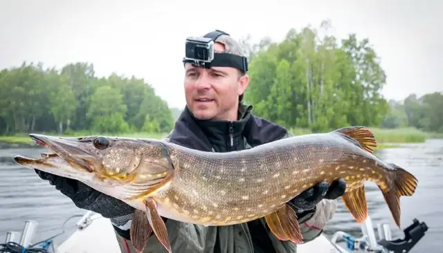 Jaka wędka na szczupaka - wybierz idealny model dla siebie