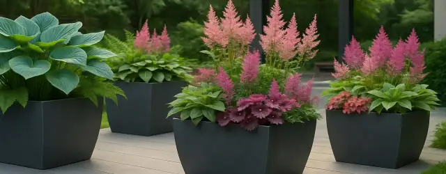 Co do dużej donicy na taras? Najlepsze rośliny, które zachwycą