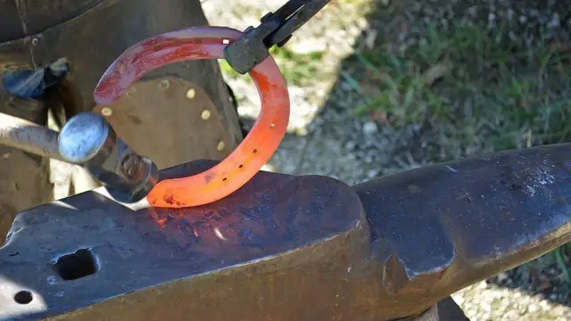 Jak nazywają się gwoździe do podków i dlaczego są tak ważne dla koni?