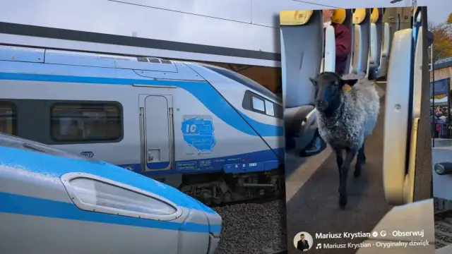 Tczew Pendolino: Wagon 4? Znajdź go bez stresu i biegania po peronie!