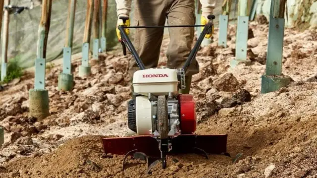 Glebogryzarka jaką wybrać? Kluczowe czynniki, które musisz znać