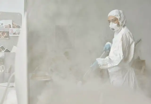 Jak wygląda dezynsekcja w bloku? Skuteczne metody i ważne wskazówki