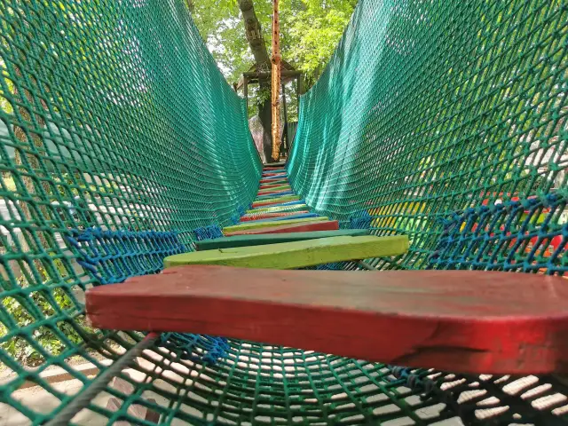 Park Linowy Jankowice: Rodzinna zabawa za 0 zł pod Poznaniem