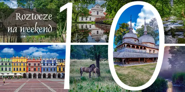 Roztocze co zwiedzić: 10 niezwykłych miejsc, które musisz zobaczyć