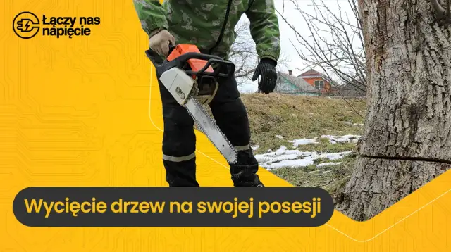 Czy można wyciąć drzewa na swojej działce? Przepisy i zezwolenia