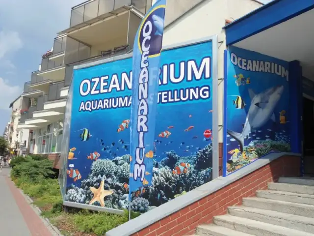 Ile kosztuje bilet do oceanarium w Kołobrzegu? Ceny i zniżki