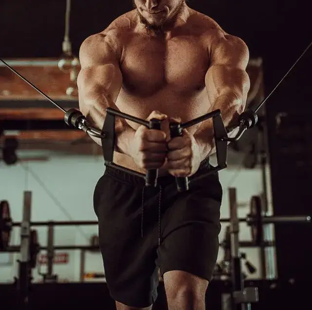 Domina tus Músculos Pectorales: Ejercicios y Rutinas Clave