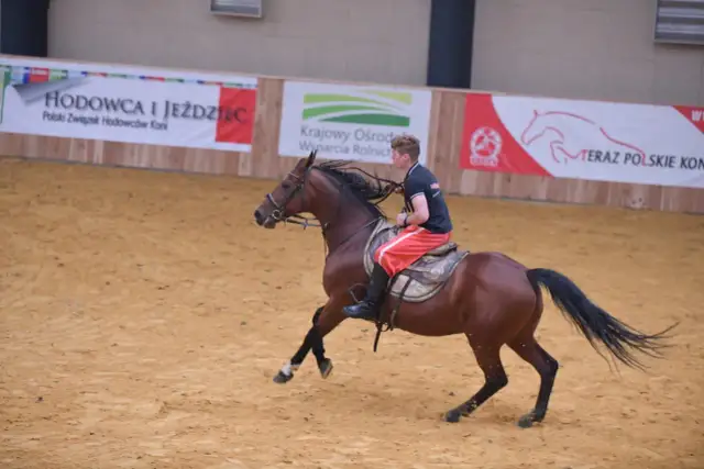 Studia hipologiczne: Gdzie w Polsce rozwijać pasję do koni?