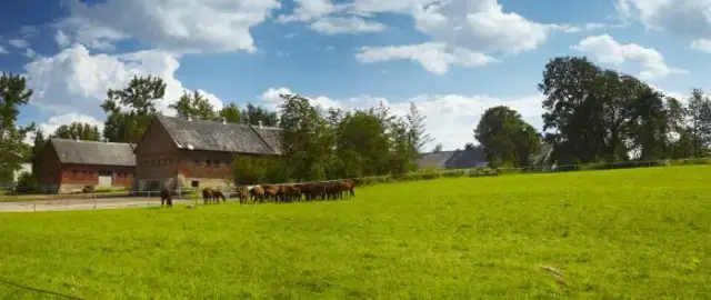 Stadnina koni w Udorzu - historia, usługi i przyszłość w niepewności