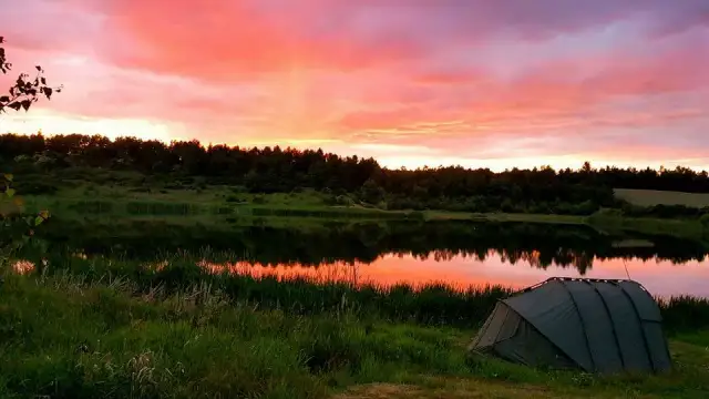 Łowisko karp w dolinie - idealne miejsce na wędkarskie przygody