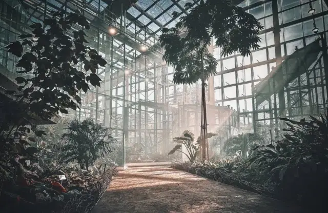 Gdzie z dzieckiem w Sosnowcu? Odkryj najlepsze atrakcje dla maluchów