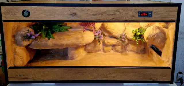 Ile kosztuje terrarium dla żółwia? Ceny, które zaskoczą każdego