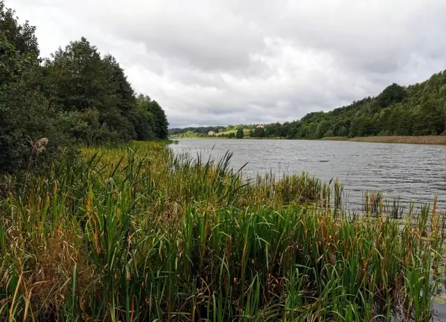Jezioro Kczewskie - idealne miejsce na wędkowanie i relaks w naturze