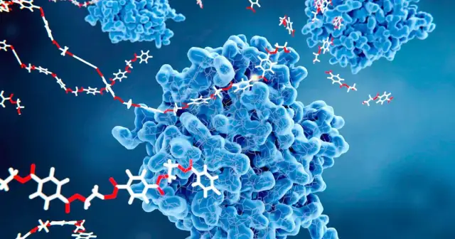 Niedobór enzymów trawiennych: 7 alarmujących objawów