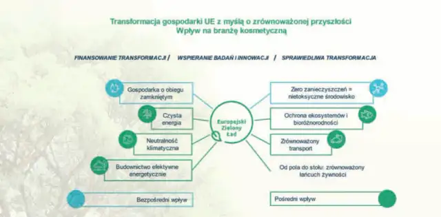 Co to zielony ład i jak wpłynie na przyszłość Europy?