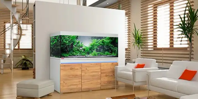 Jaką szafkę pod akwarium wybrać, aby uniknąć problemów?