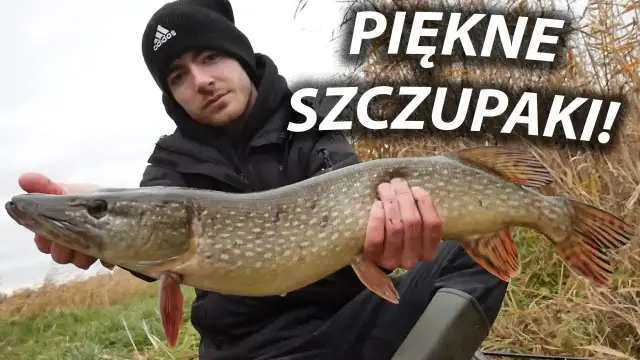 Łowisko szczupakowo: najlepsze miejsca na szczupaki w Polsce