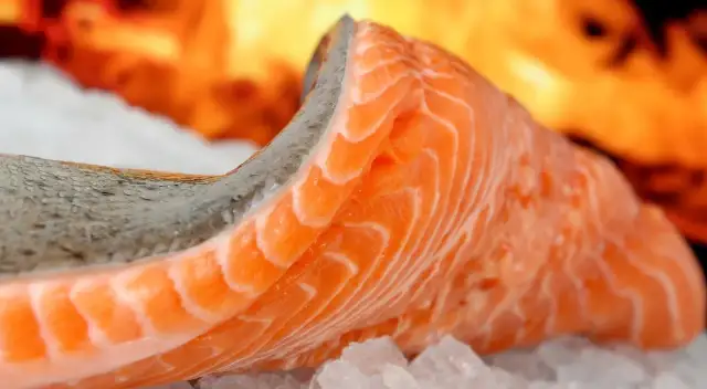 Czy łosoś występuje w Bałtyku? Rzadki gatunek w zagrożeniu