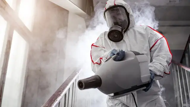 Jak wygląda dezynsekcja w bloku i co musisz o niej wiedzieć