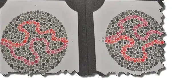 Zawody, których nie może wykonywać daltonista – uniknij problemów zawodowych