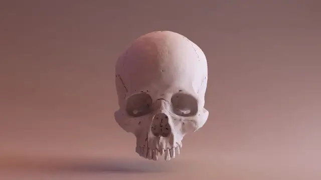 Czy literatura i sztuka mogą zneutralizować lęk przed śmiercią?