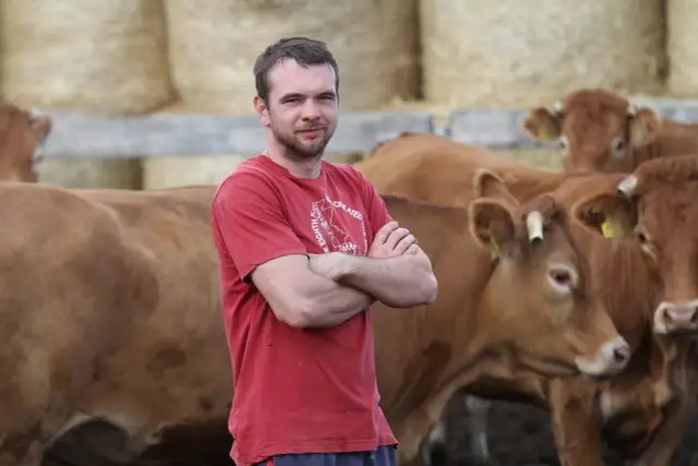 Ceny wołowiny Angus w Polsce – co musisz wiedzieć o kosztach?