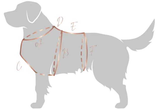 Jak zmierzyć szelki dla psa? Sekret idealnego dopasowania