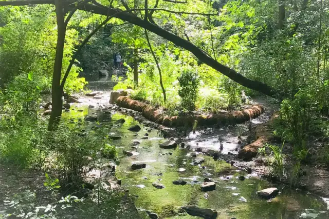 Central Park atrakcje: odkryj ukryte skarby i popularne miejsca