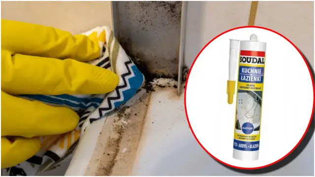 Czym czyścić silikon? 7 metod na pleśń i żółte plamy!