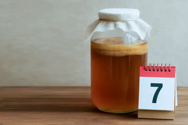 Kombucha z czego? Odkryj sekrety domowej fermentacji!
