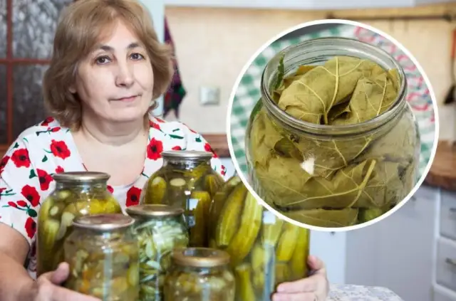 Czy można kroić ogórki do kiszenia? Oto, co musisz wiedzieć