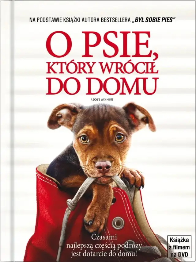 O psie który wrócił do domu książka – wzruszająca historia psa