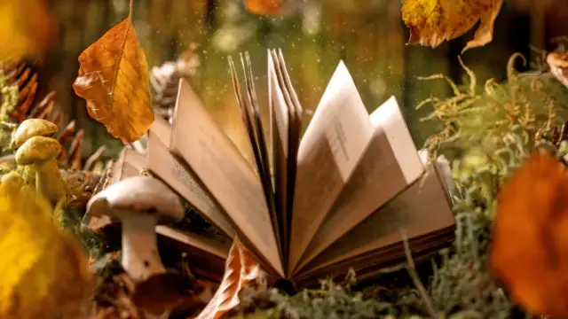 Jak napisać baśń: krok po kroku do stworzenia magicznej opowieści