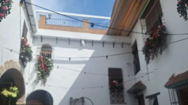 Taberna El Abanico: La joya de Córdoba con patio y tapas auténticas